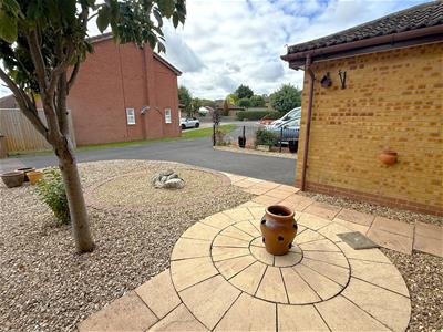 Picture 20